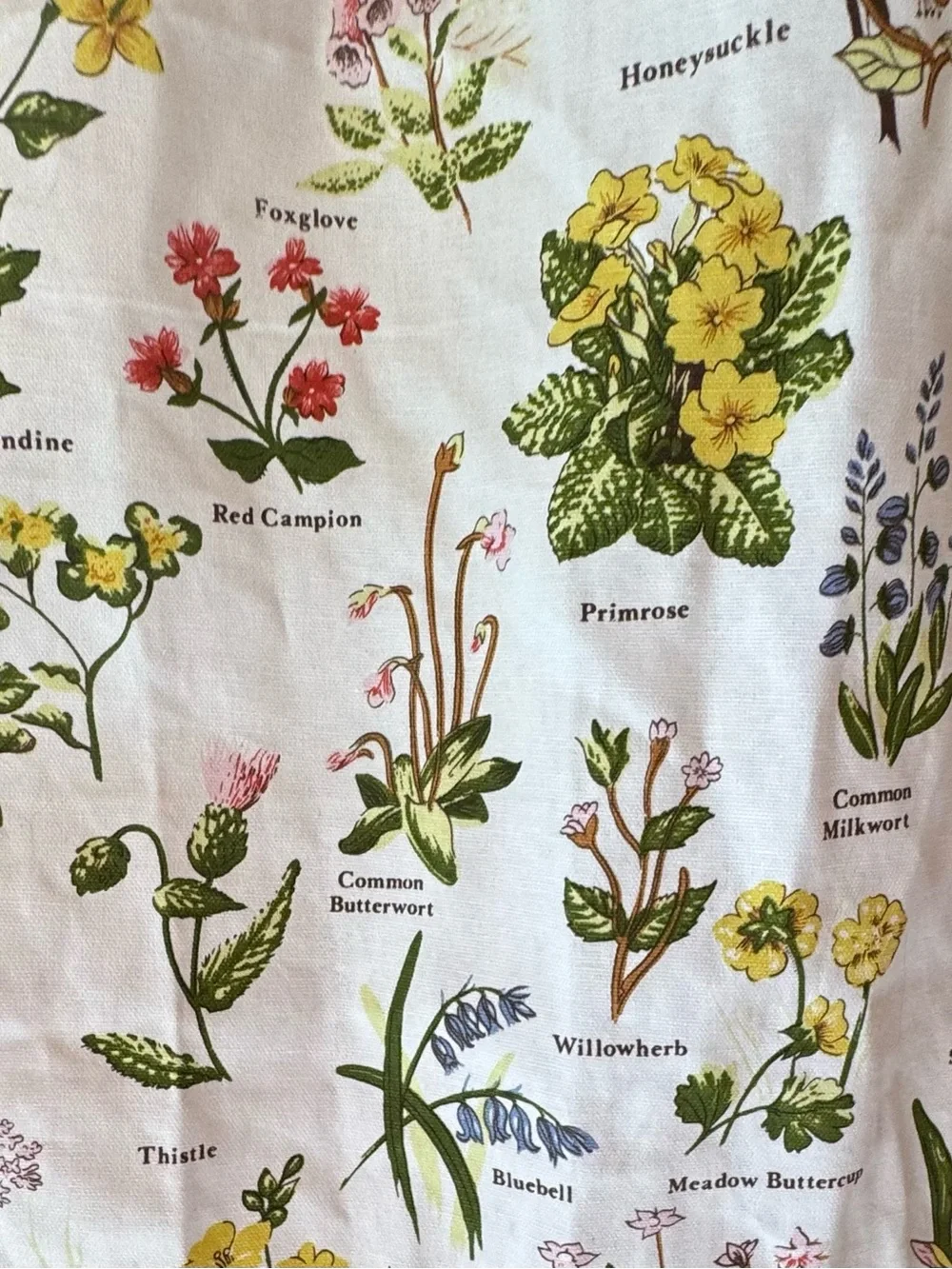 Clive Mayor Apron Wild Flowers of Yorkshire Green Floral Kitchen Apron Botanical